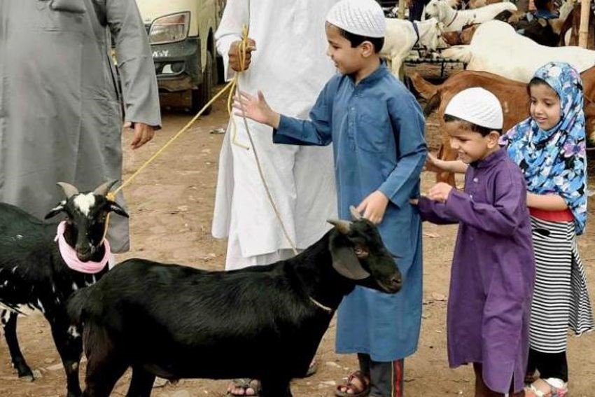 Waspada Wasir Kambuh Saat Hari Raya Qurban (Idul Adha)