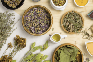 Obat Ambeien Herbal