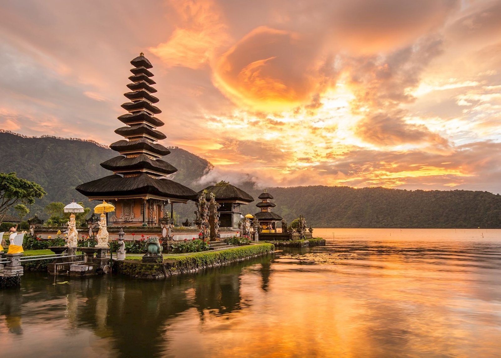 Obat Wasir di Bali