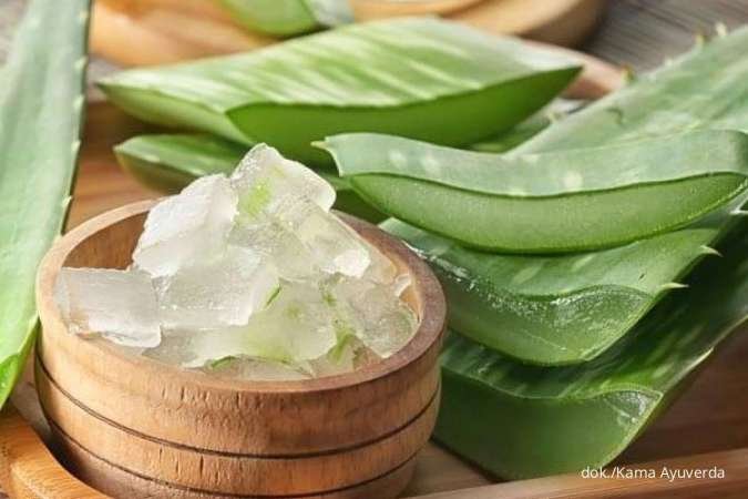 Obat Ambeien